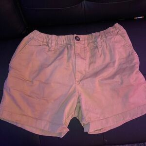 Chubbies 5.5 inch inseam shorts